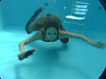 水中 女体 水の中マニア 「オナニー・フェラ・レズキス、水中遊戯」のサンプル画像32