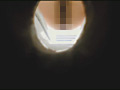 マルチアングル対応DVD お花見会場公衆トイレ盗撮 2013春のサンプル画像143