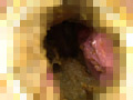 子宮口 糞塗りたくりオナニーのサンプル画像18