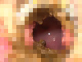 子宮口 糞塗りたくりオナニーのサンプル画像39