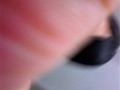 Digest Image 14