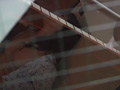 画像0055