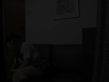 画像0073