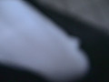 画像0030