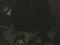 画像0135
