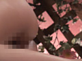 画像0045