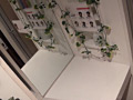 画像0316