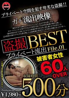 盗撮 プライベート流出500分 BEST File.01