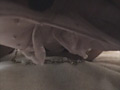 画像0031