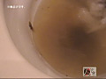 Digest Image 15