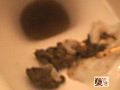 Digest Image 45