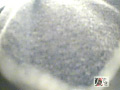 画像0066