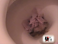 [maniazero-0621] 故障したトイレで排便する様子と焦っている様子を盗撮2のキャプチャ画像 10