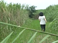 [maniazero-0678] 野外放尿してる女を隠し撮りした後、マ○コをさわる！DXのキャプチャ画像 3