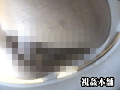 [maniazero-0781] トイレが流れない！女たちはその時どうするのか徹底検証のキャプチャ画像 6