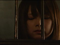 画像0049