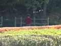 画像0088