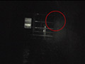 Digest Image 13