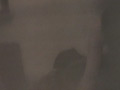 画像0187