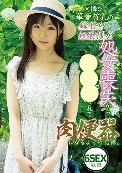 お嬢様が処女喪失から○○○されて肉便器になるまで