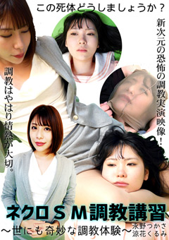 ネクロSM調教講習~世にも奇妙な調教体験~"