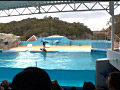 画像0096