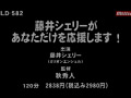 藤井シェリー 完全網羅！！ 8時間 SEX100連発special