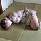 緊縛ガールズコレクション