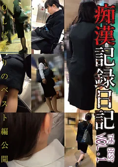 痴漢記録日記THE BEST VOL.01