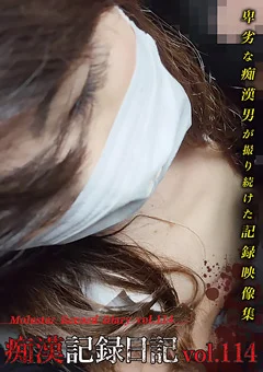 痴漢記録日記vol.114