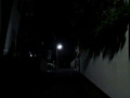 画像0120