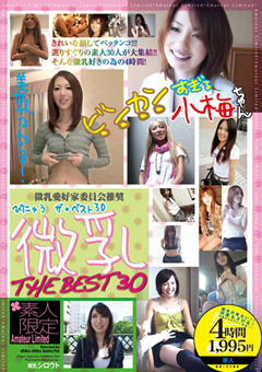 素人限定 微乳 THE BEST 30