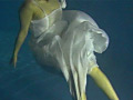 The Moonface Underwater DVD 「Mermaid2」のサンプル画像14