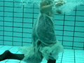 The Moonface Underwater 「Mermaid」