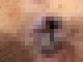 [mousouzoku-3686] 尻肉と肛門を徹底的にガン見するのキャプチャ画像 9
