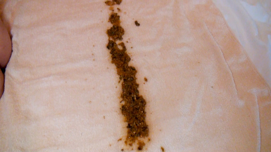 スレンダー なぎさちゃんのモリモリ自然糞と大量残便 画像13