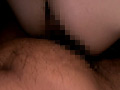 画像0244