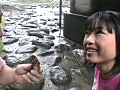 画像0243