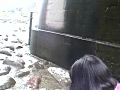 画像0245
