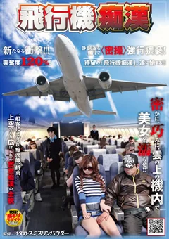 飛行機痴漢