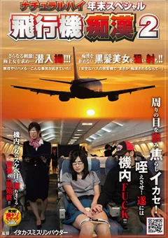 ナチュラルハイ年末スペシャル 飛行機痴漢2