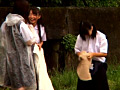 Digest Image 2