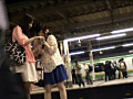 画像0055