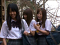 Digest Image 1