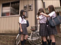 Digest Image 10