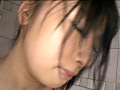 Digest Image 29