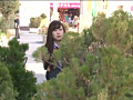 画像0079