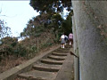 Digest Image 6