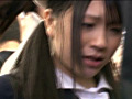 Digest Image 14