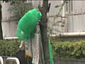 画像0138